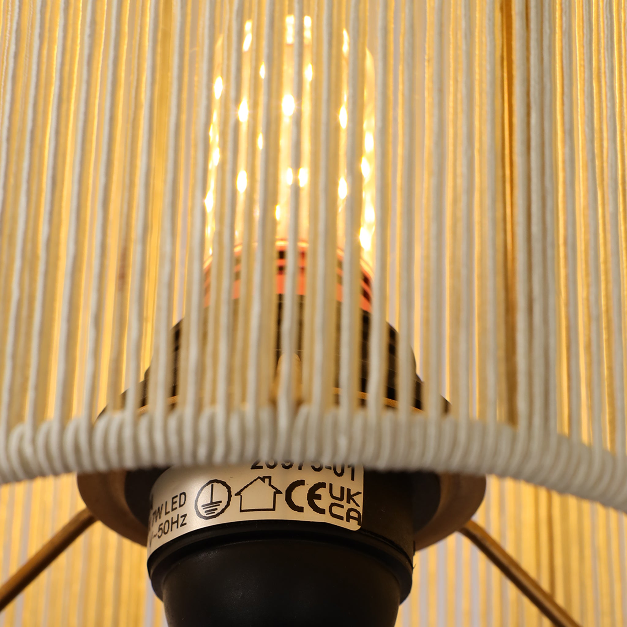 Wyroo Table Lamp