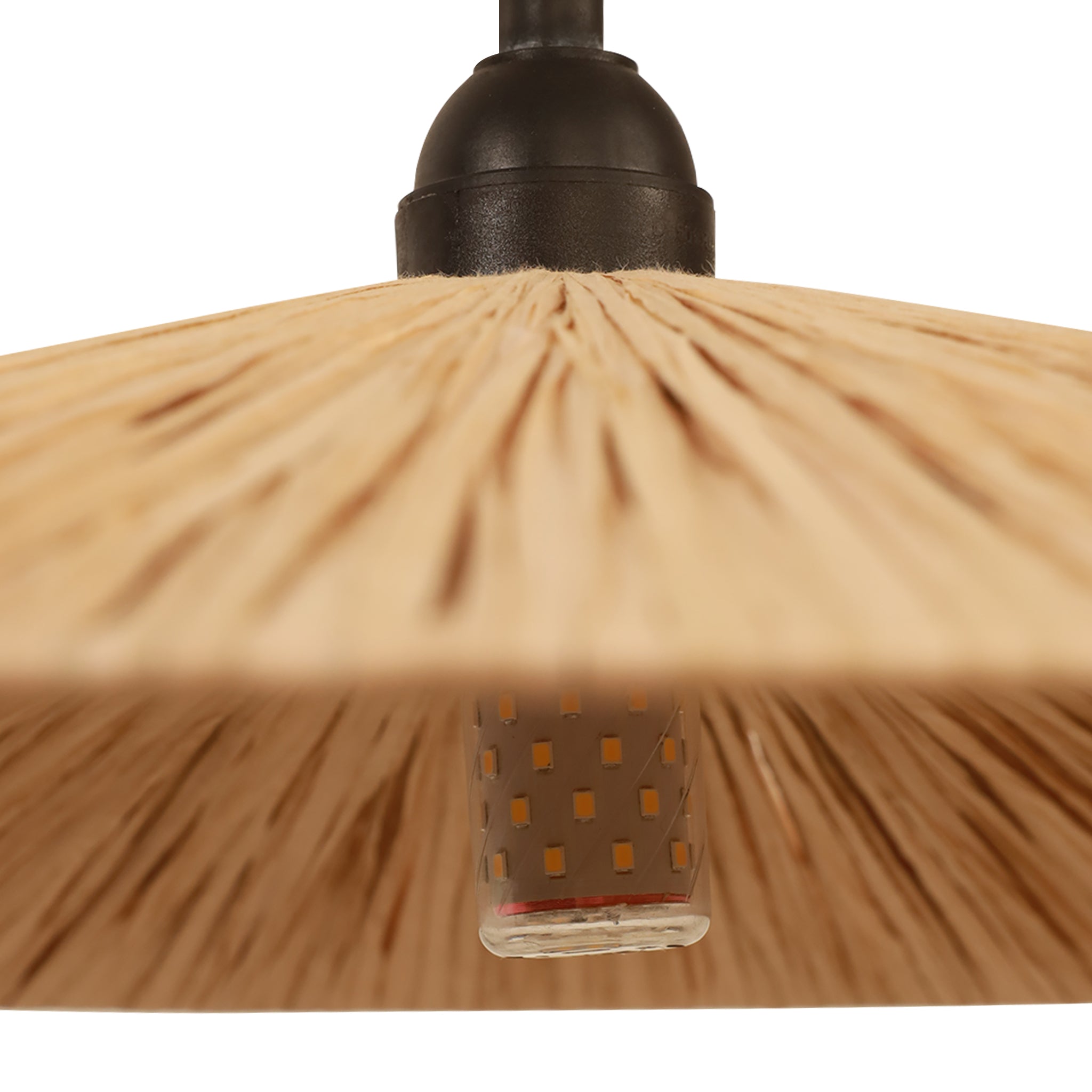 Malva Wall Lamp