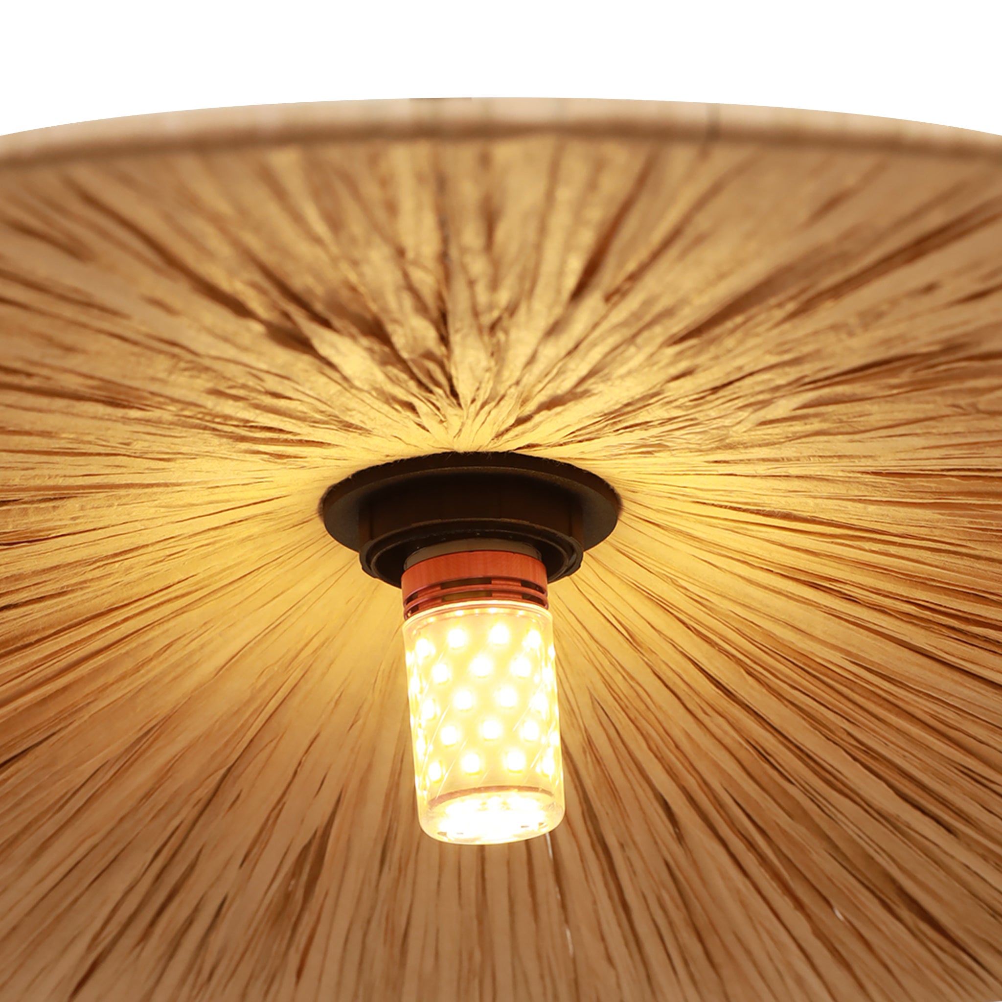 Malva Wall Lamp