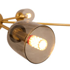 Eskiso Chandelier