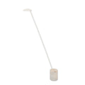 Ravfe Floor Lamp