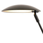 Ravfe Floor Lamp