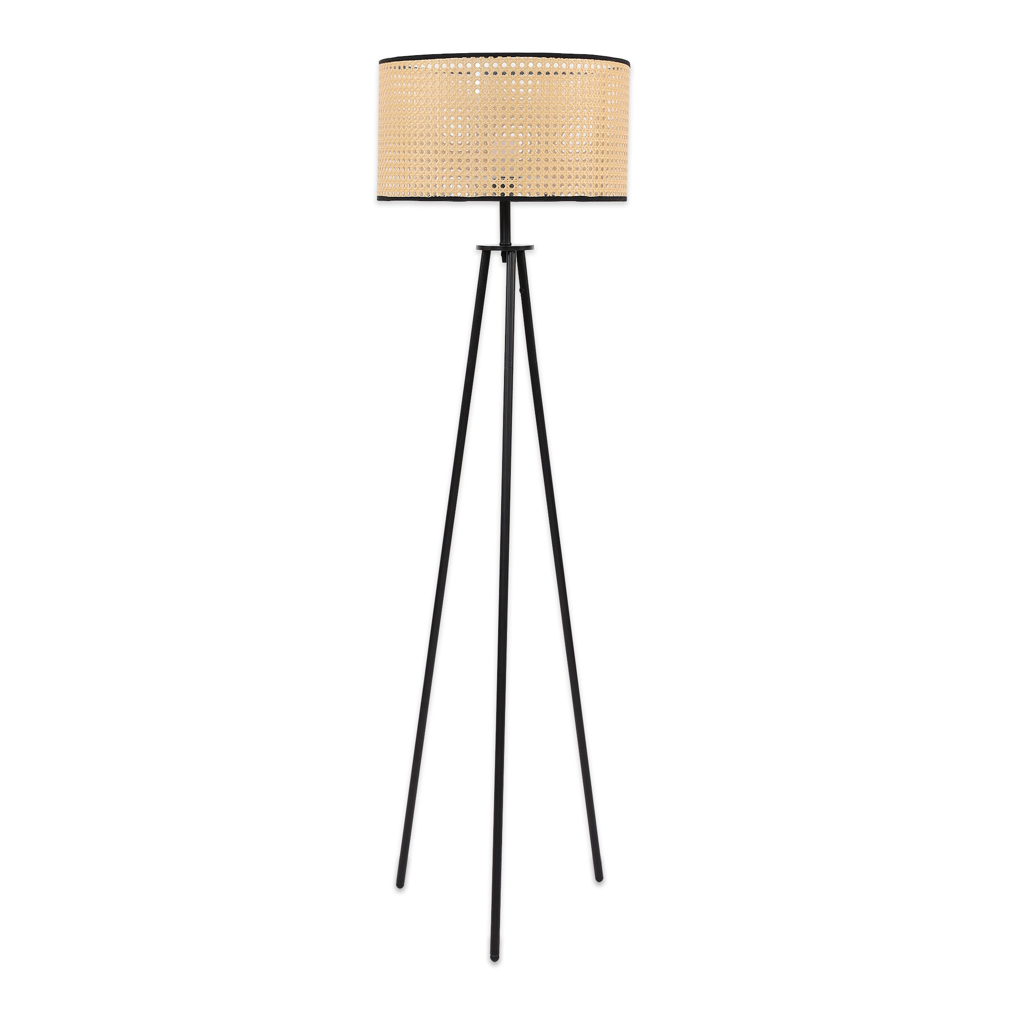 Iskia Floor Lamp