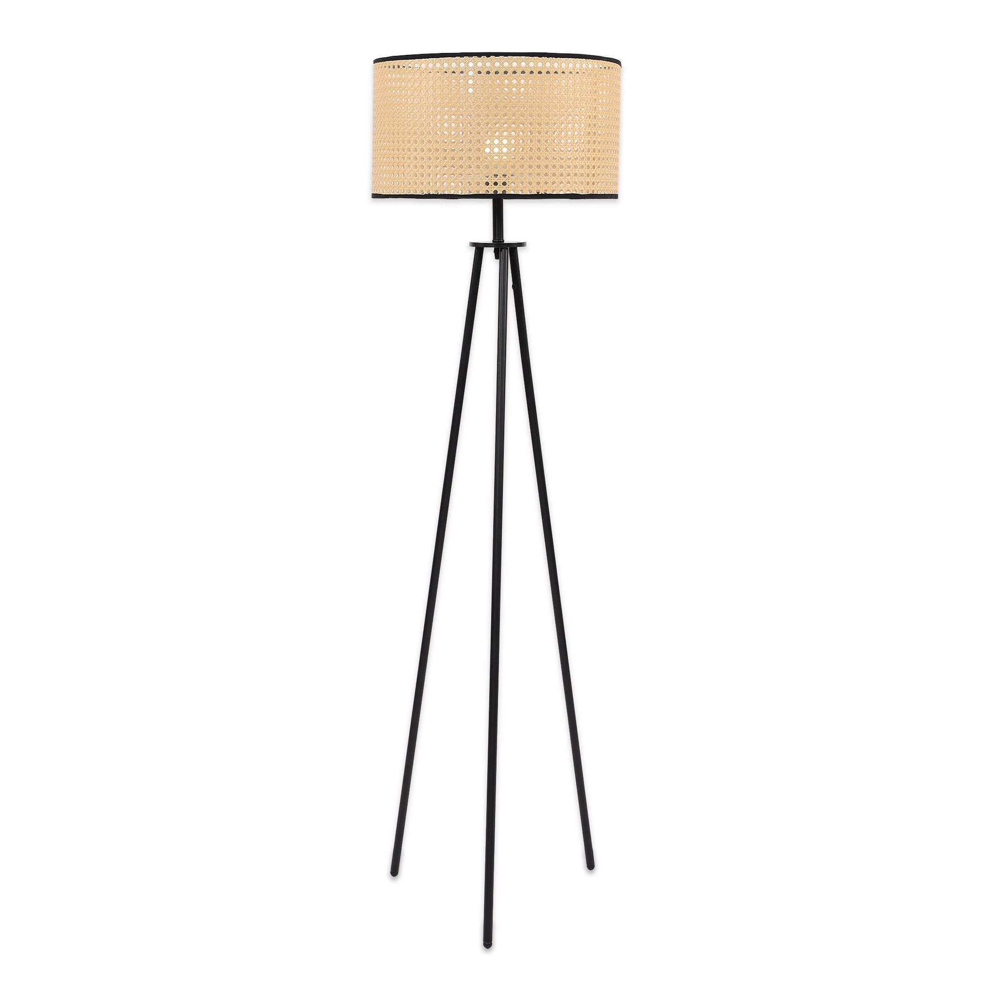 Iskia Floor Lamp