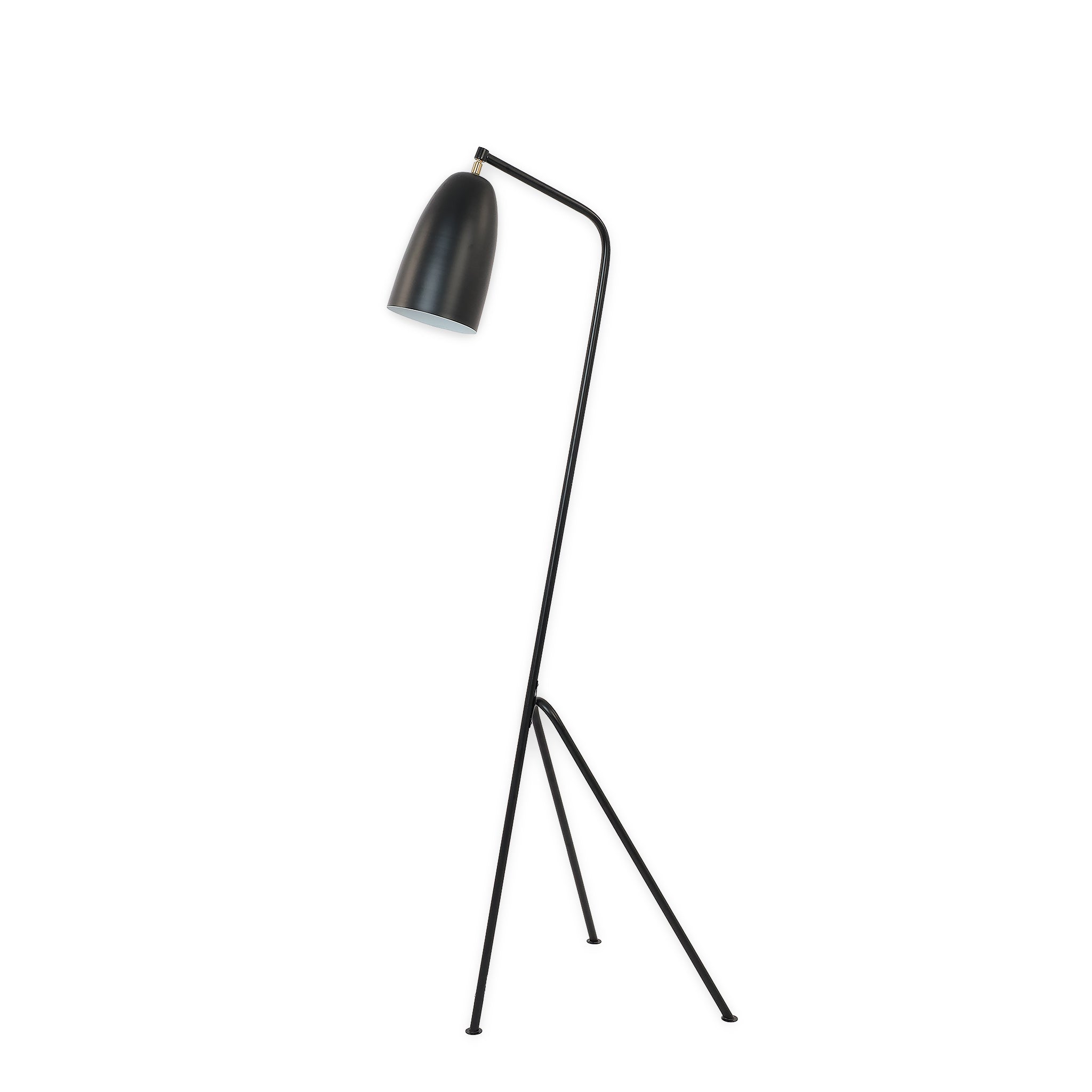 Hisi Floor Lamp