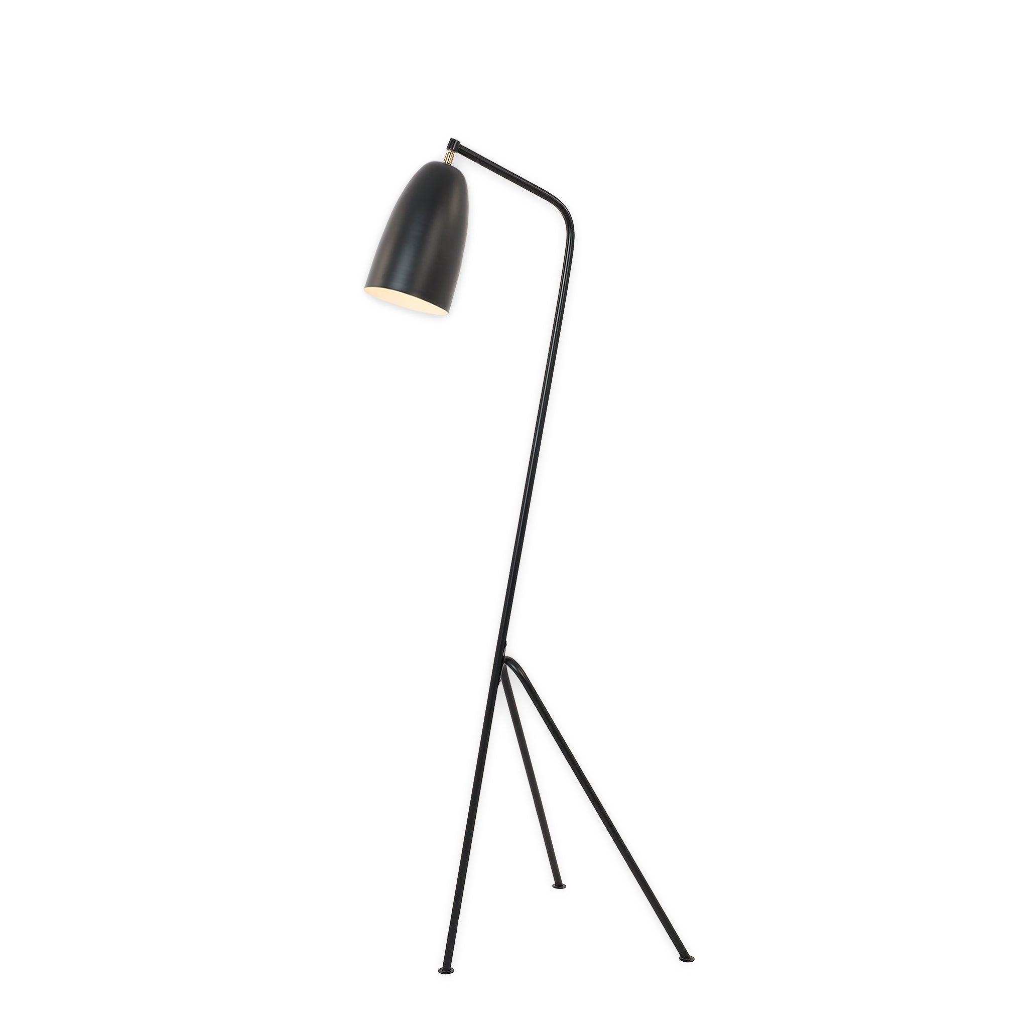 Hisi Floor Lamp