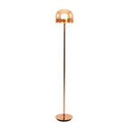 Edtso Floor Lamp